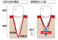 西村歯科医院　医院ブログ　20210104