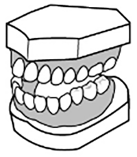 西村歯科医院　医院ブログ　20211018