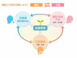 西村歯科医院　医院ブログ　20211025