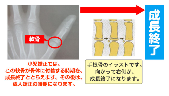 西村歯科医院　医院ブログ