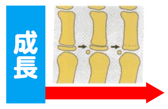 西村歯科医院　医院ブログ