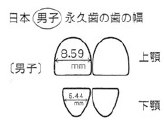 西村歯科医院 医院ブログ
