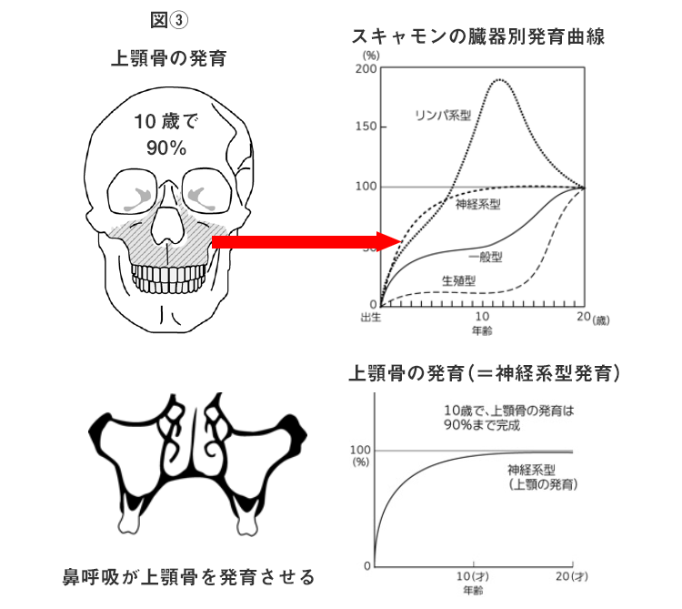 西村歯科医院 医院ブログ